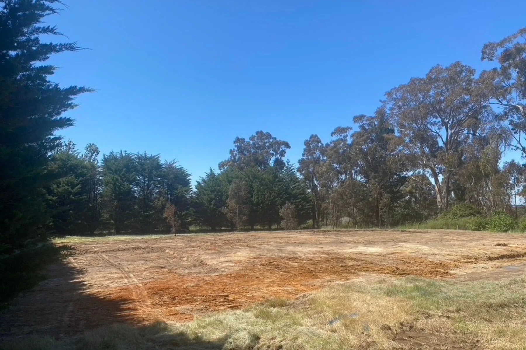 Cleared land area with trees
